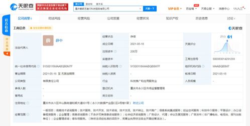 愛(ài)奇藝在重慶成立科技公司，拓展創(chuàng)業(yè)空間與信息系統(tǒng)集成服務(wù)